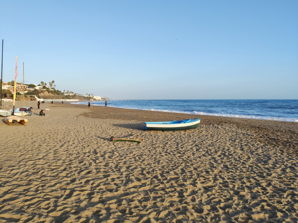 Sunset view of La Cala de Mijas beach with palm trees and ocean waves.